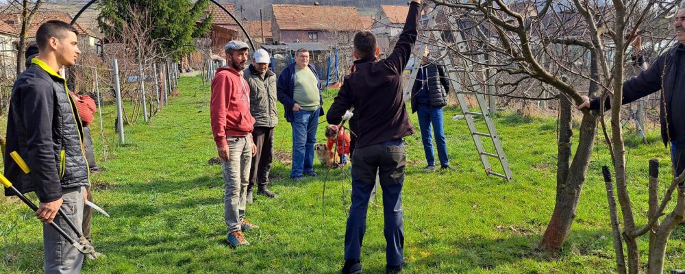 67 de membrii ai comunităților rurale instruiți gratuit în horticultură