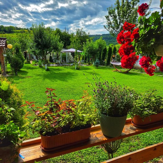 Cină de vară la Valchid 239 – răsfăț culinar într-un decor floral