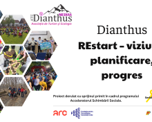 Asociația DIANTHUS lansează proiectul „REstart – viziune, planificare, progres”
