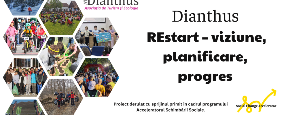 Asociația DIANTHUS lansează proiectul „REstart – viziune, planificare, progres”