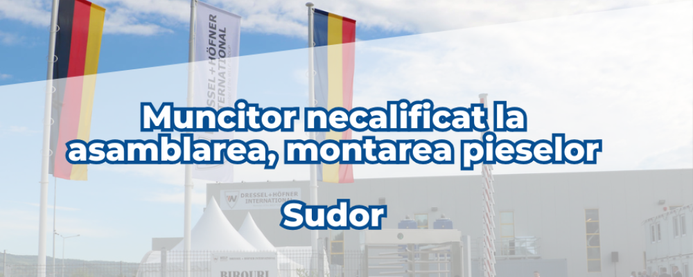 [ANGAJĂRI] Dressel + Höfner International SRL angajează muncitori necalificati si sudori