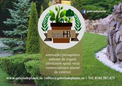 Galeria de Plante