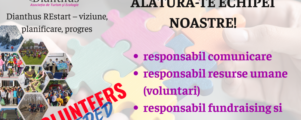 Asociația DIANTHUS își stabilește direcțiile de dezvoltare pentru perioada 2025–2027 și lansează un apel pentru noi voluntari